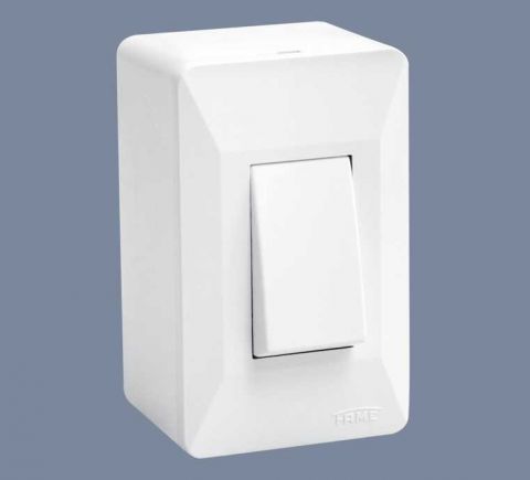 Interruptor Fame 1s C/p Externa Modular Evidence/modulare