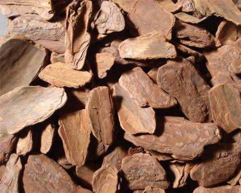 Casca De Pinus Polida 700g Fertilizare