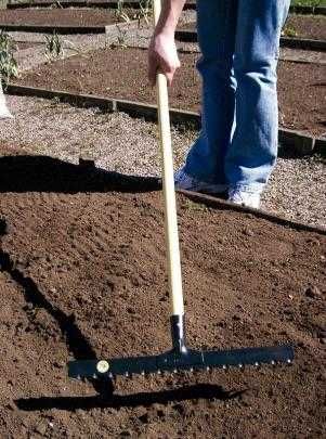 Ancinho 14 C/cabo Madeira Tramontina 77110644