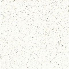 Piso Brilhante 61 X 61cm Titanium Branco A Pei-5 Lume