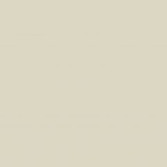 PORCELANATO DELTA BRILHO PAGLIA-MT RT-54X54CM