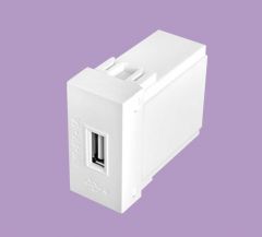 Modulo Tomada Usb Bivolt - Elegance Fame