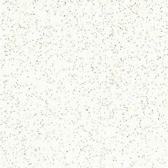 Piso Brilho Retificado Titanium Branco 60 x 60cm PEI5 - Lume