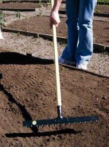 Ancinho 14 C/cabo Madeira Tramontina 77110644